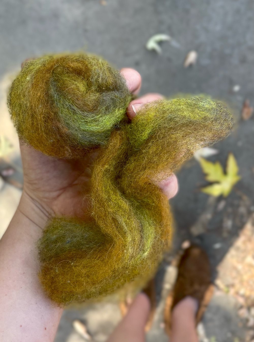 4 oz. • Bitter Herb Sock blend roving: on, 80% Dorset Horn, 10% Kid Mohair, 10% silk