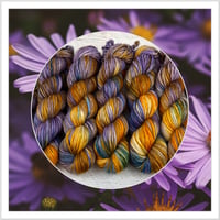 Image 2 of Autumn Aster