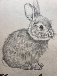Image 3 of Wee Lucky Study#1