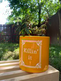 Image 2 of Red Log Peperomia in Yellow Gold "Killing It" Pot