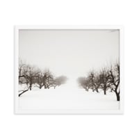 Image 5 of "The Apple Orchard in Winter" Framed poster