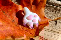 Image 2 of Mini White Paw