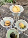 Avocado grower š„