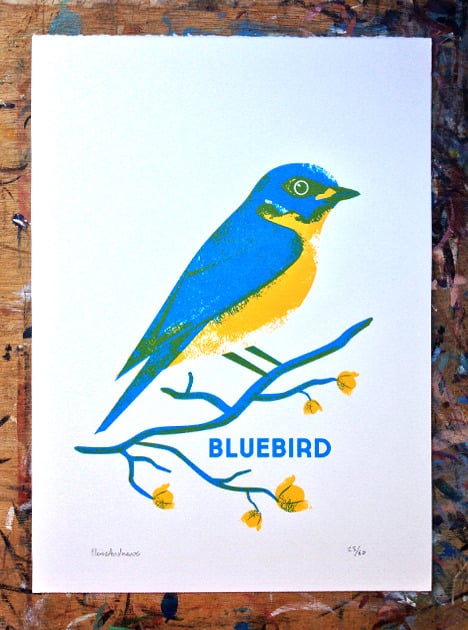Image of Bluebird