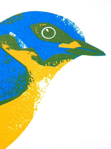 Image of Bluebird