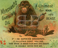 Merchant's Gargling Oil - Darwin