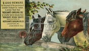 Image of Merchant's Gargling Oil - Three Horses