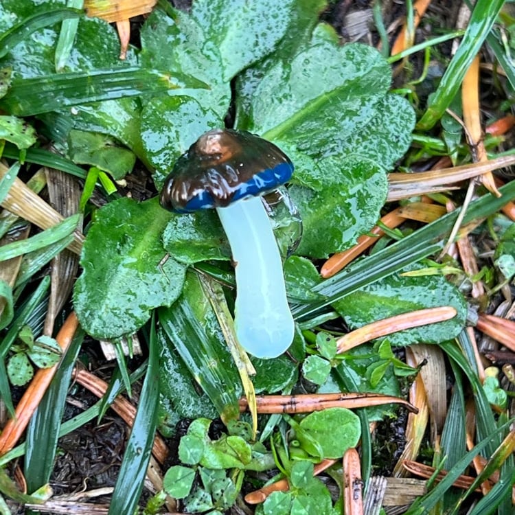 Image of Small Blue Staining Mushroom Pendant
