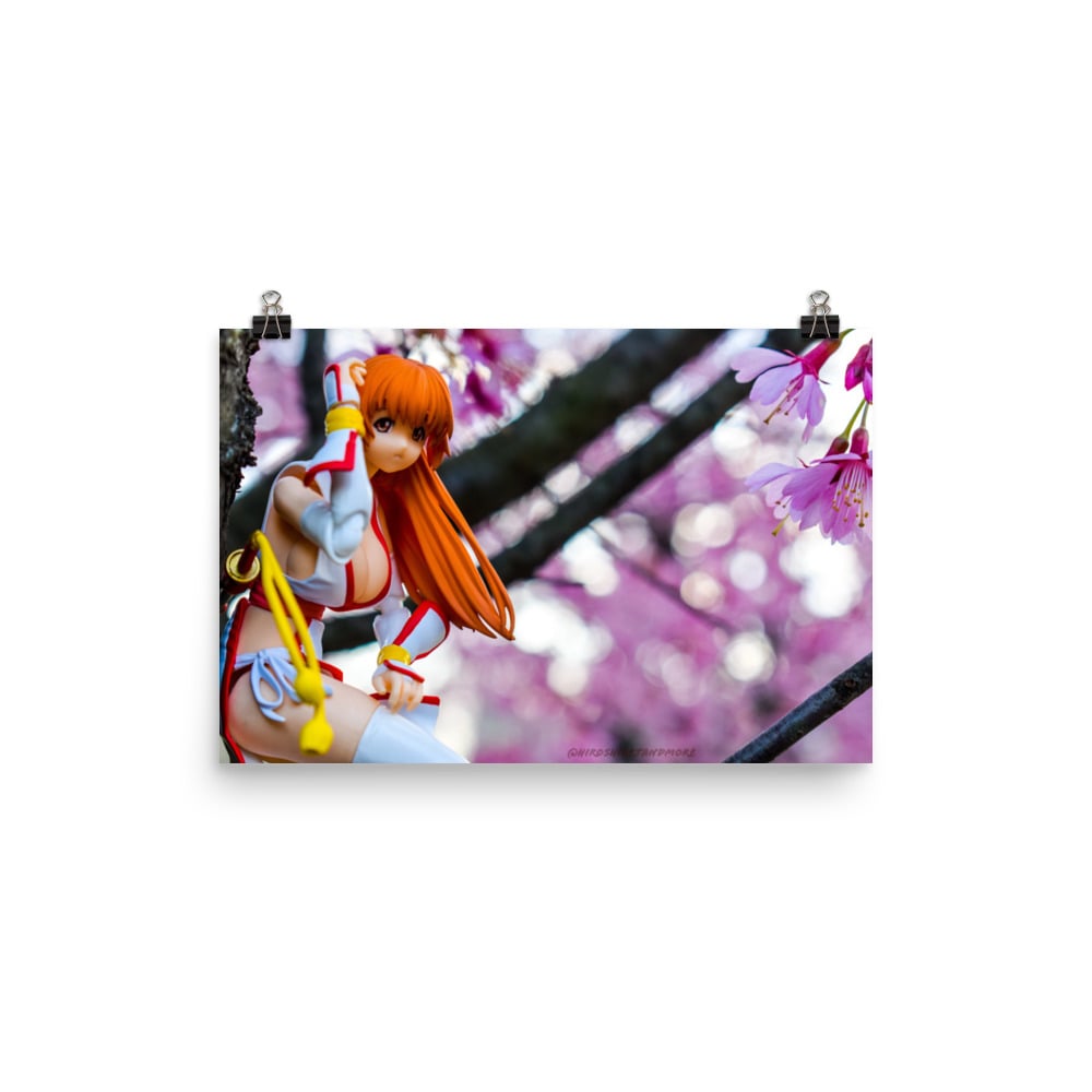 Kasumi x Cherry Blossom(close up)