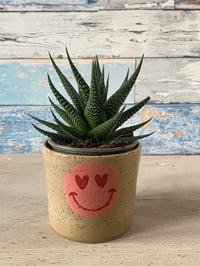 Image 1 of Smiley plant pot.