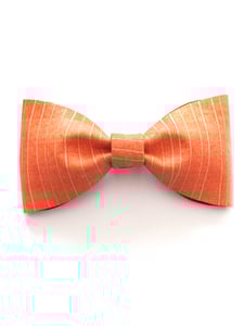 Image of bow tie orlando