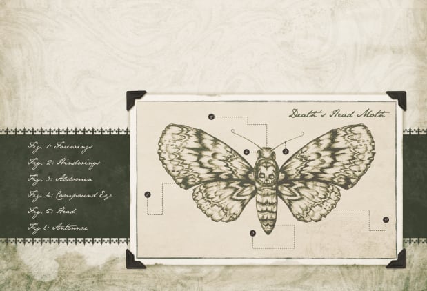 Image of Death's Head Moth - Note Card