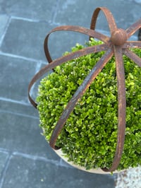 Image 3 of Large Topiary Trainer