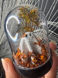 Image 3 of Autumn Leaves 