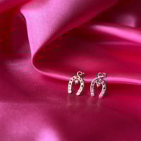 Image 1 of Anya's Good Luck Charm