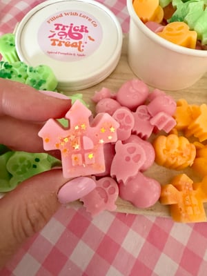 Image of LIMITED EDITION WAX MELTS