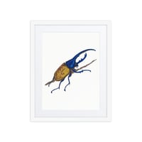 Image 3 of Framed poster of Hercules Beetle