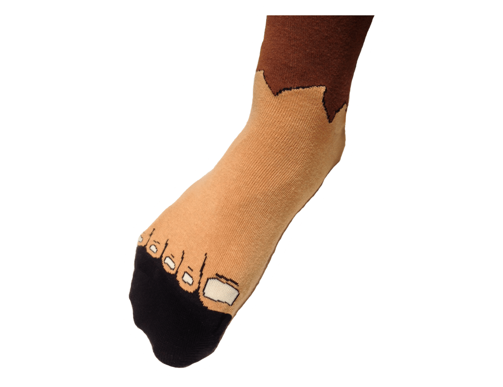 Image of SaaSquatch Socks