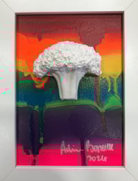Pride 5 Small Broccoli