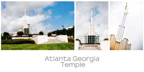 Image of Atlanta Temple Collage 10x20 