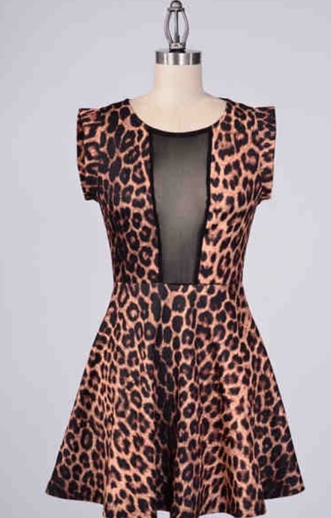 Image of Leopard Dress
