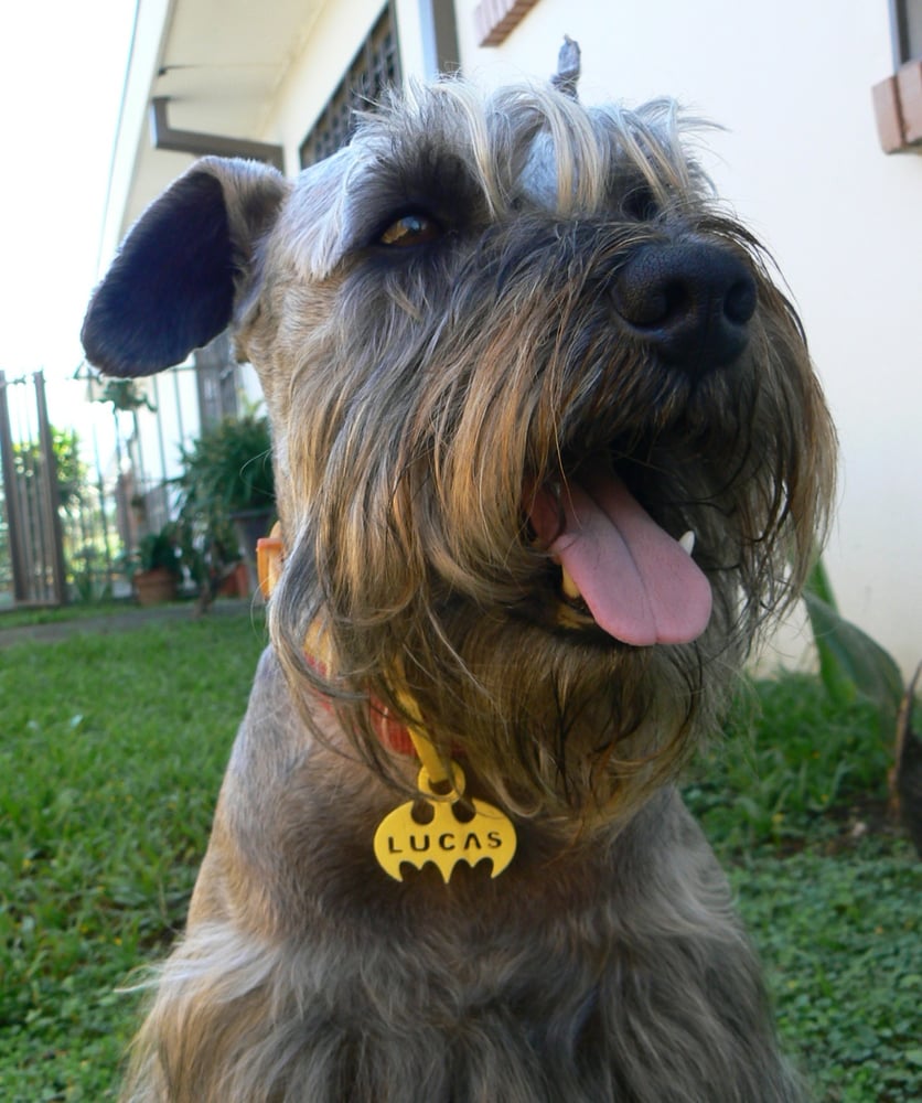 Image of Placas de Súper Héroes con nombre