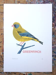 Image of Greenfinch