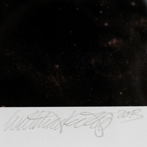 Image of DIE STERNEN STEHEN GUT / Wayne Horse