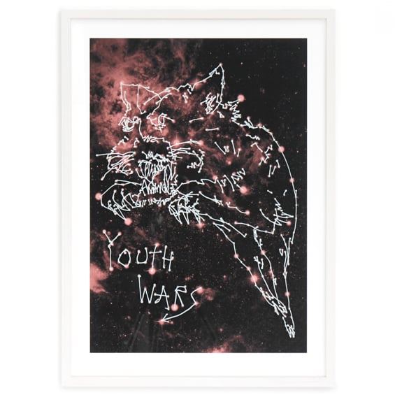 Image of YOUTH WARS / Wayne Horse