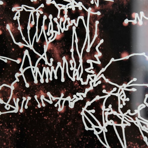 Image of YOUTH WARS / Wayne Horse