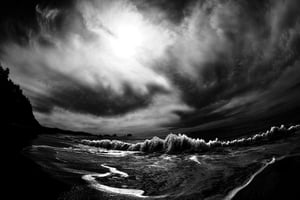 Image of The Tide- Shi Shi Beach, WA