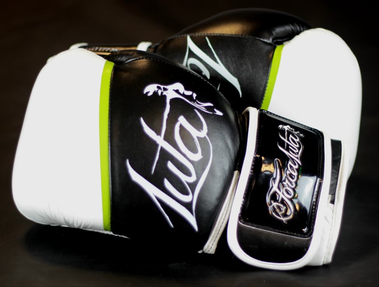 Image of Forca Luta Elite Boxing Gloves