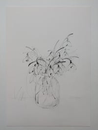 Snowdrops I