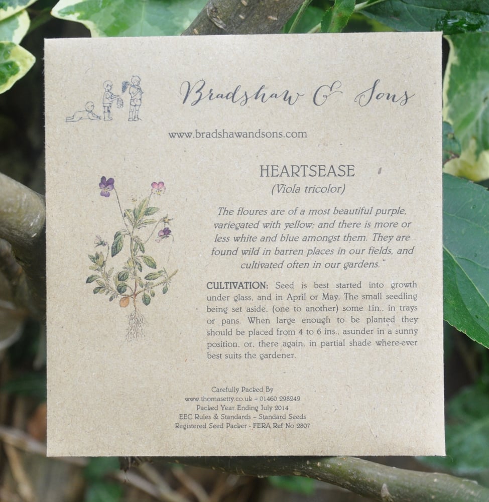 Image of Bradshaw & Sons Heartsease Seeds