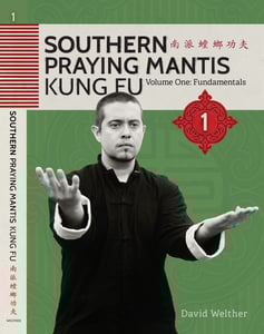 Image of Southern Praying Mantis Volume One: Fundamentals DVD