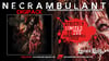 NECRAMBULANT - Infernal Infectious Necro-Ambulatory Pandemic DIGIPACK