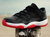 Image of Custom Bred 11 Low