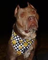 SMILEY BANDANA