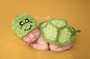 Image of Snurtle the Turtle