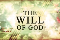 Image 2 of The Will of God Series - 7 CD Set