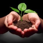 Image 2 of The Seed Series - 10 CD Set