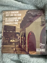 Image 2 of Sally Sunshine EP / Theme for G.H.O.S.T Agents Flexi bundle
