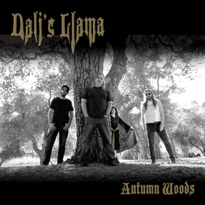 Image of Dali's Llama - Autumn Woods CD