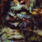 Image of Dali's Llama - Raw is Real CD