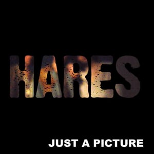 Image of HARES - JUST A PICTURE - CUSTOMIZABLE CD SINGLE - PREORDER