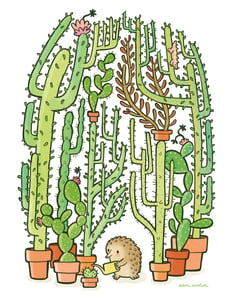 Image of Quilliam's Cactuses