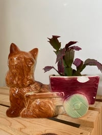 Image 2 of Thanksgiving Cactus in Scottie Dog Planter
