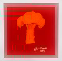 Sunset Boulevard Broccoli