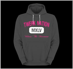 Image of Twerk Nation Gray Hoodie