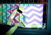 Image 3 of Poopsaguard™